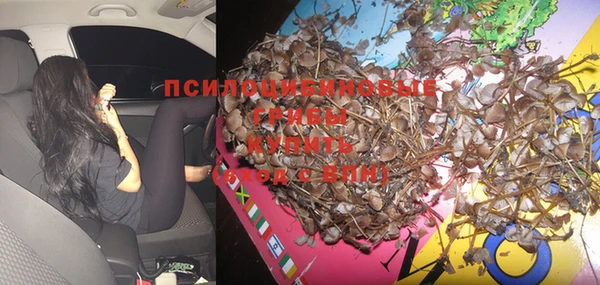 спиды Бугульма