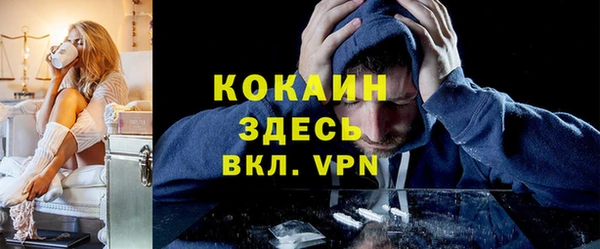 мет Бородино