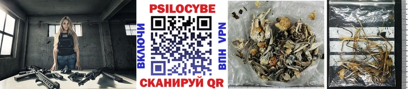 Псилоцибиновые грибы мицелий  Купить закладки  Электроугли 